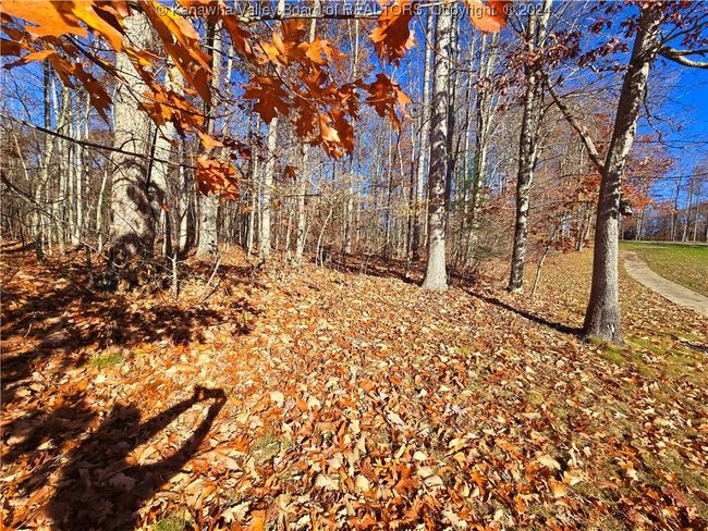 101 Chantry Ln, Home with 0 bedrooms, 0 bathrooms and null parking in Daniels WV | Image 14