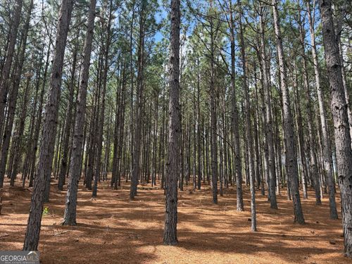 012 Barge Rd, Lumpkin, GA, 31815 | Card Image