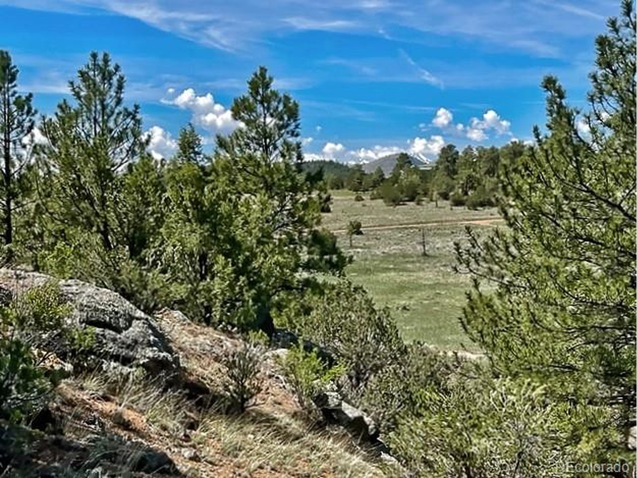 Land in Cotopaxi 3