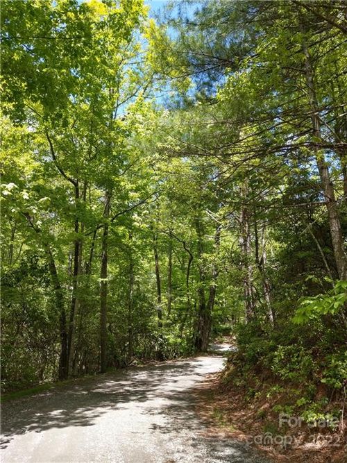 e7-000 Dogwood Cir, Penrose, NC, 28766 | Card Image