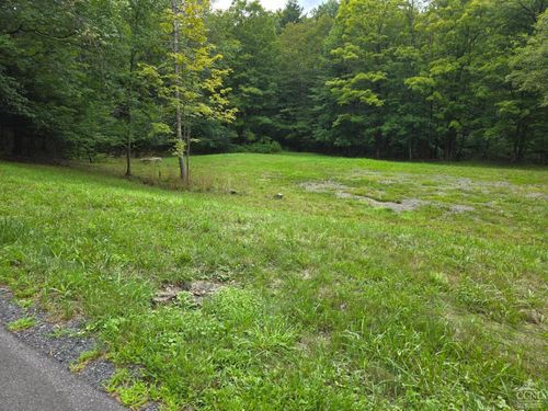 96 Deyo Rd, Alcove, NY, 12007-1918 | Card Image