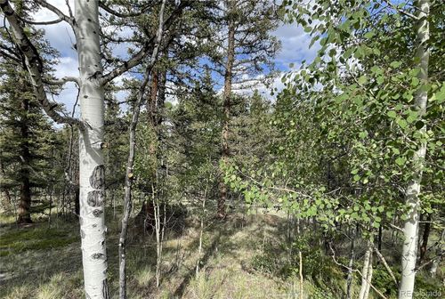 80 Haida Way, JEFFERSON, CO, 80456 | Card Image