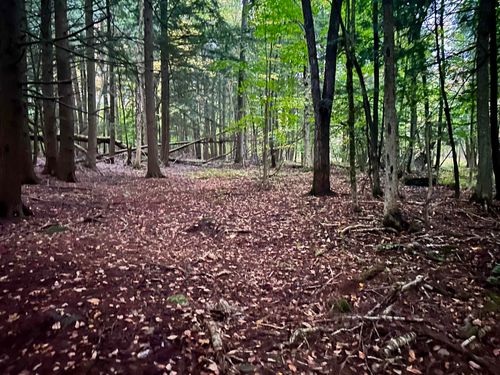 TBD Pumpkin Village Rd, Fairfield, VT, 05455 | Card Image