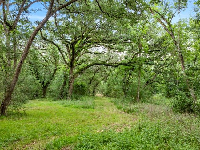 5714 Masters Rd, House other with 3 bedrooms, 3 bathrooms and 2 parking in Manvel TX | Image 32