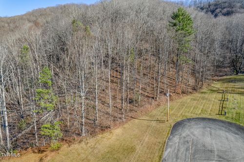 117 Buckner Dr, Roan Mountain, TN, 37687-3577 | Card Image