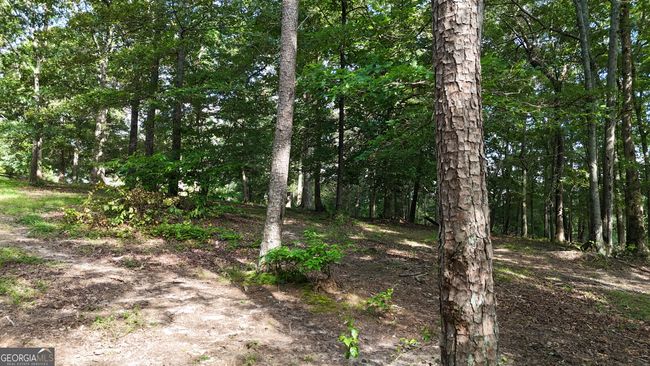 1780 Double Bridge Rd, House other with 3 bedrooms, 4 bathrooms and null parking in Demorest GA | Image 95