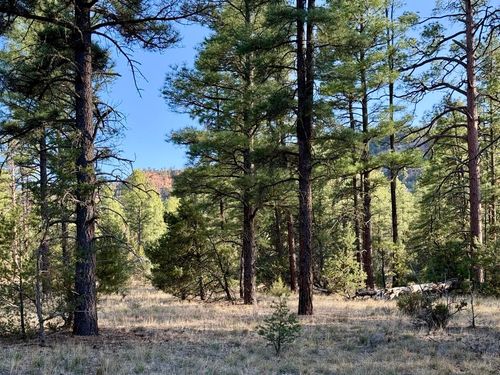 R211158 Timber Rd, Ramah, NM, 87321 | Card Image