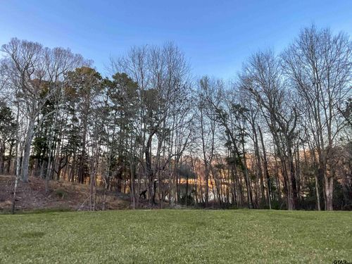 17961 Gordons Landing Rd, Arp, TX, 75750-4643 | Card Image