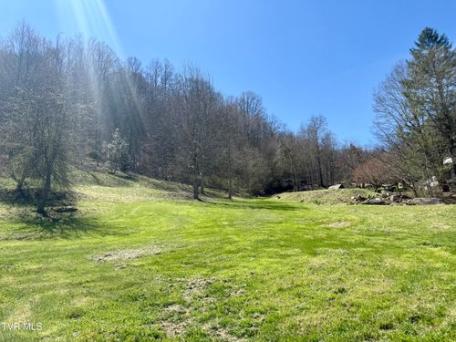 111 Doty Rd, Roan Mountain, TN, 37687-3703 | Card Image