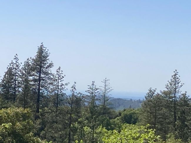 16688 Sonshine Ln, Home with 0 bedrooms, 0 bathrooms and null parking in Sutter Creek CA | Image 12