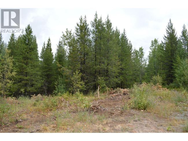 Lot 1 3 Rd St, Home with 0 bedrooms, 0 bathrooms and null parking in Kootenay Boundary BC | Image 8