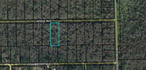 3681 Apple Ave, BUNNELL, FL, 32110 | Card Image
