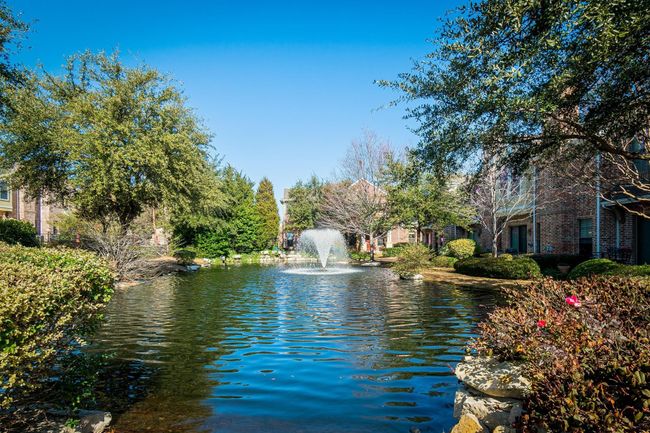 Water view | Image 19