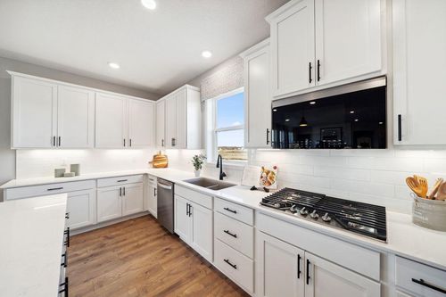 6181 Jensen Alcove S, Cottage Grove, MN, 55016 | Card Image