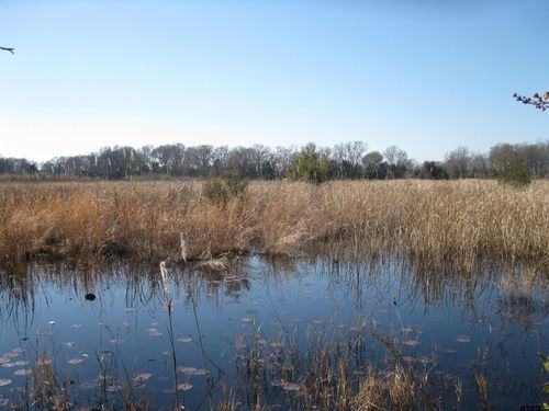 TBD 133+/- Acres Cr 4701, Ben Wheeler, TX, 75754 | Card Image