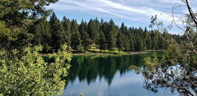 488 Emerald Lake Loop, Home with 0 bedrooms, 0 bathrooms and null parking in Seeley Lake MT | Image 21