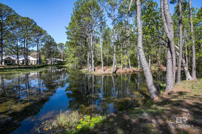Nature trail | Image 54