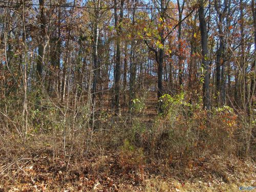 27 Sumner Dr, Scottsboro, AL, 35769-3301 | Card Image