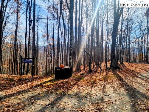 201 Sourwood Ln, Beech Mountain, NC, 28604-8266 | Card Image