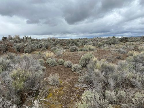 0 Nw Arrowhead [Apn: 6055] Loop, Christmas Valley, OR, 97641 | Card Image