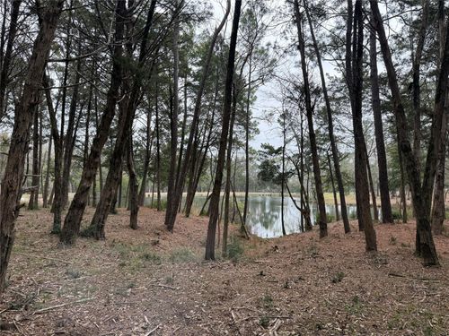 Lot 7 Block 2 Evergreen Hill Lane, Willis, TX, 77378 | Card Image