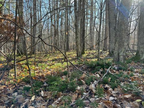 Parcel 4 Hideaway Trail, Peaine Township, MI, 49782 | Card Image