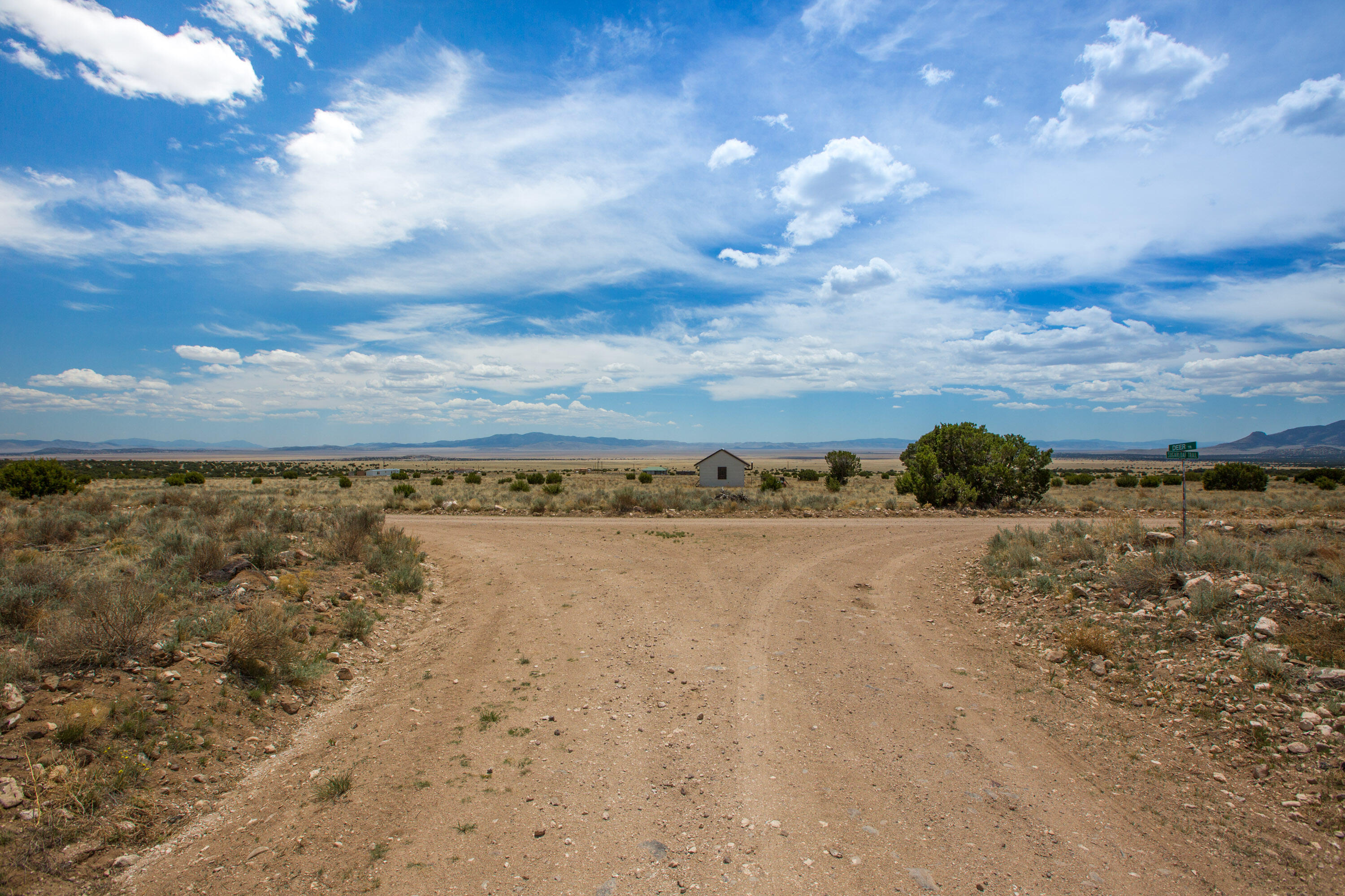 Land in Datil 5