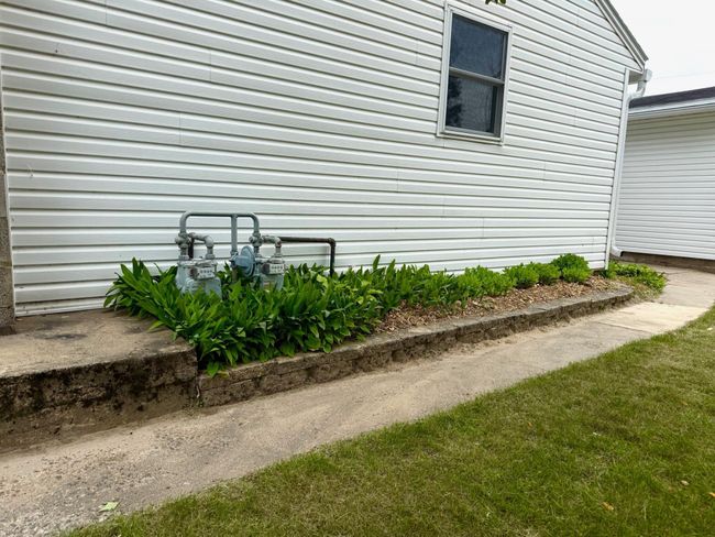 More perennials | Image 31