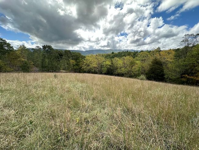 621 Point Pleasant Rd, House other with 2 bedrooms, 1 bathrooms and null parking in BLAND VA | Image 26