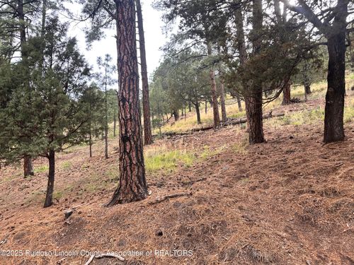 44 Alto Dr, Alto, NM, 88312 | Card Image