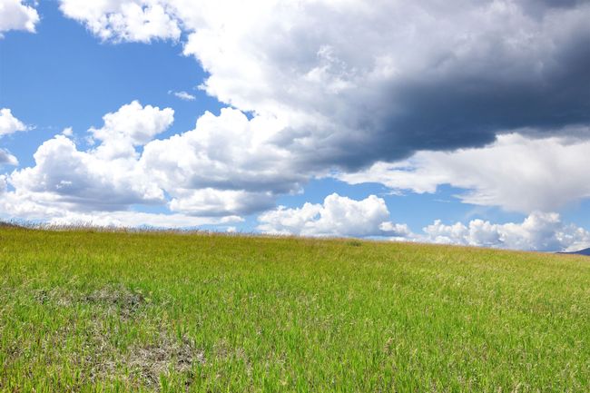 LOT-2C - NHN Lake Mary Ronan Road, Home with 0 bedrooms, 0 bathrooms and null parking in Dayton MT | Image 26