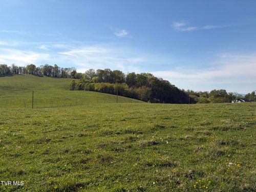 Lot 3r Ward Rowe Rd Road, Limestone, TN, 37681 | Card Image