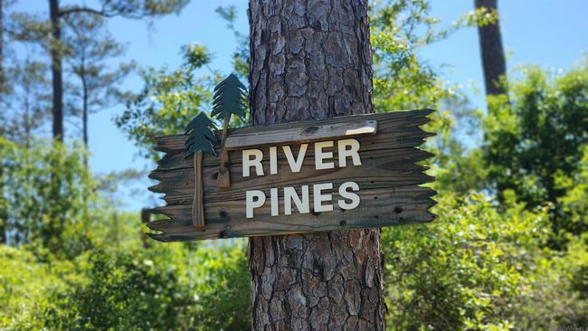 31531 River Pines Dr, Home with 0 bedrooms, 0 bathrooms and null parking in Springfield LA | Image 11