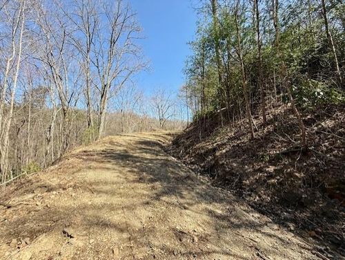 Lot 3 Wild Laurel, Brasstown, NC, 28902 | Card Image