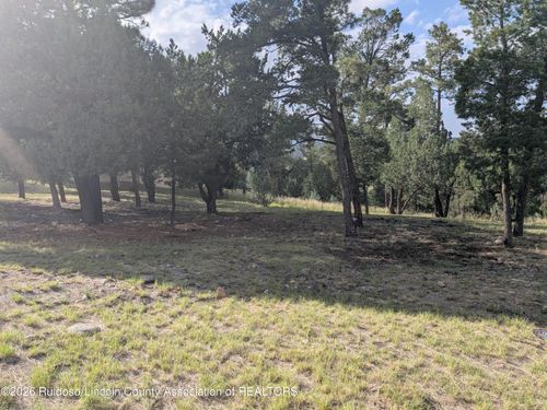 261 Deer Park Dr, Alto, NM, 88312-8030 | Card Image