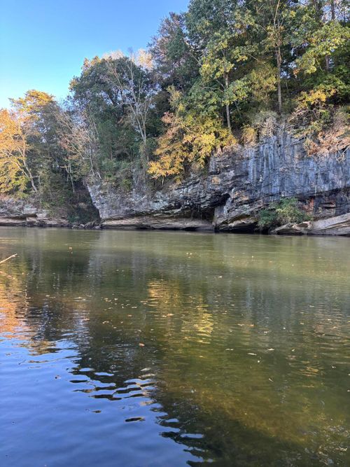 168 Moby Dr, Delano, TN, 37325 | Card Image