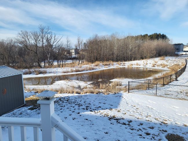 Scenic views early March 2025 | Image 35