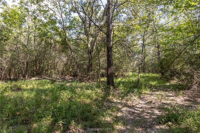 7465 River Oaks Dr, House other with 3 bedrooms, 2 bathrooms and null parking in Iola TX | Image 36