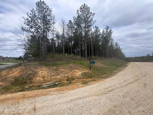 0 Brumley Ln., Mize, MS, 39116 | Card Image