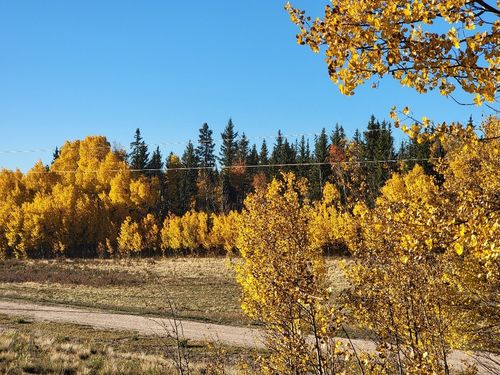 287 Mustang Trail, Hartsel, CO, 80449 | Card Image