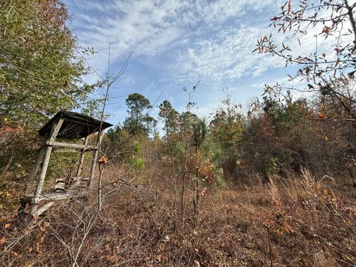 3391 Davis Bridge Rd, Williston, SC, 29853-3044 | Card Image