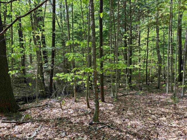 0 Snell Rd, Home with 0 bedrooms, 0 bathrooms and null parking in Chester VT | Image 21