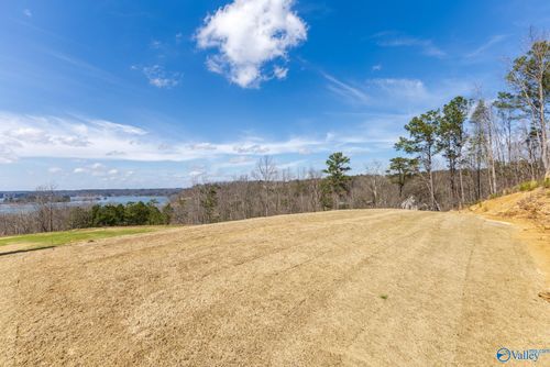 Lot C6 County Road 913, Crane Hill, AL, 35053 | Card Image