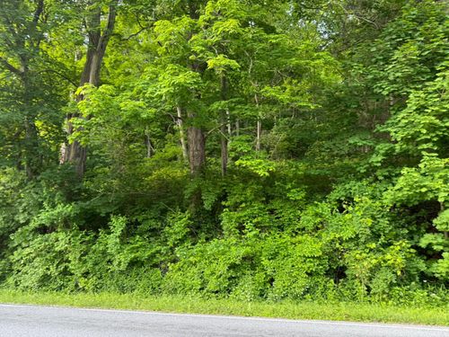 591 Bog Hollow Rd, Wassaic, NY, 12592-2532 | Card Image