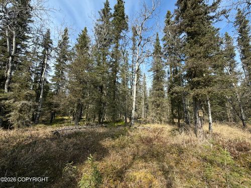 0 Old Setnetter Dr, Kasilof, AK, 99610 | Card Image