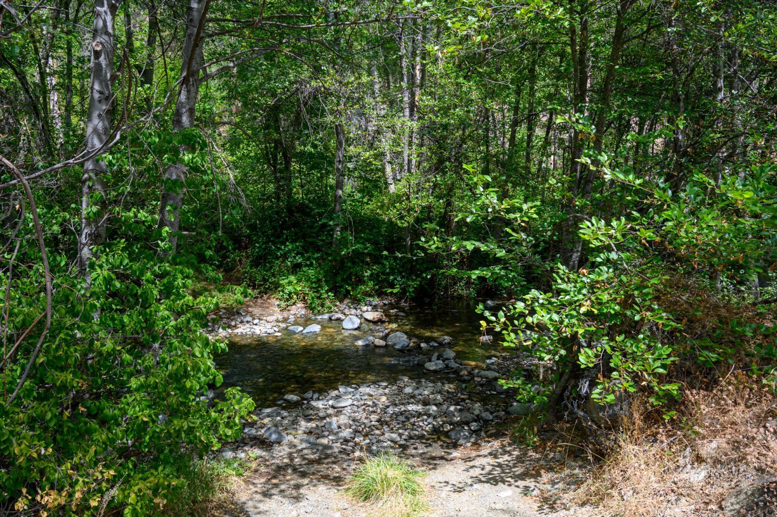 Land in Douglas City 2
