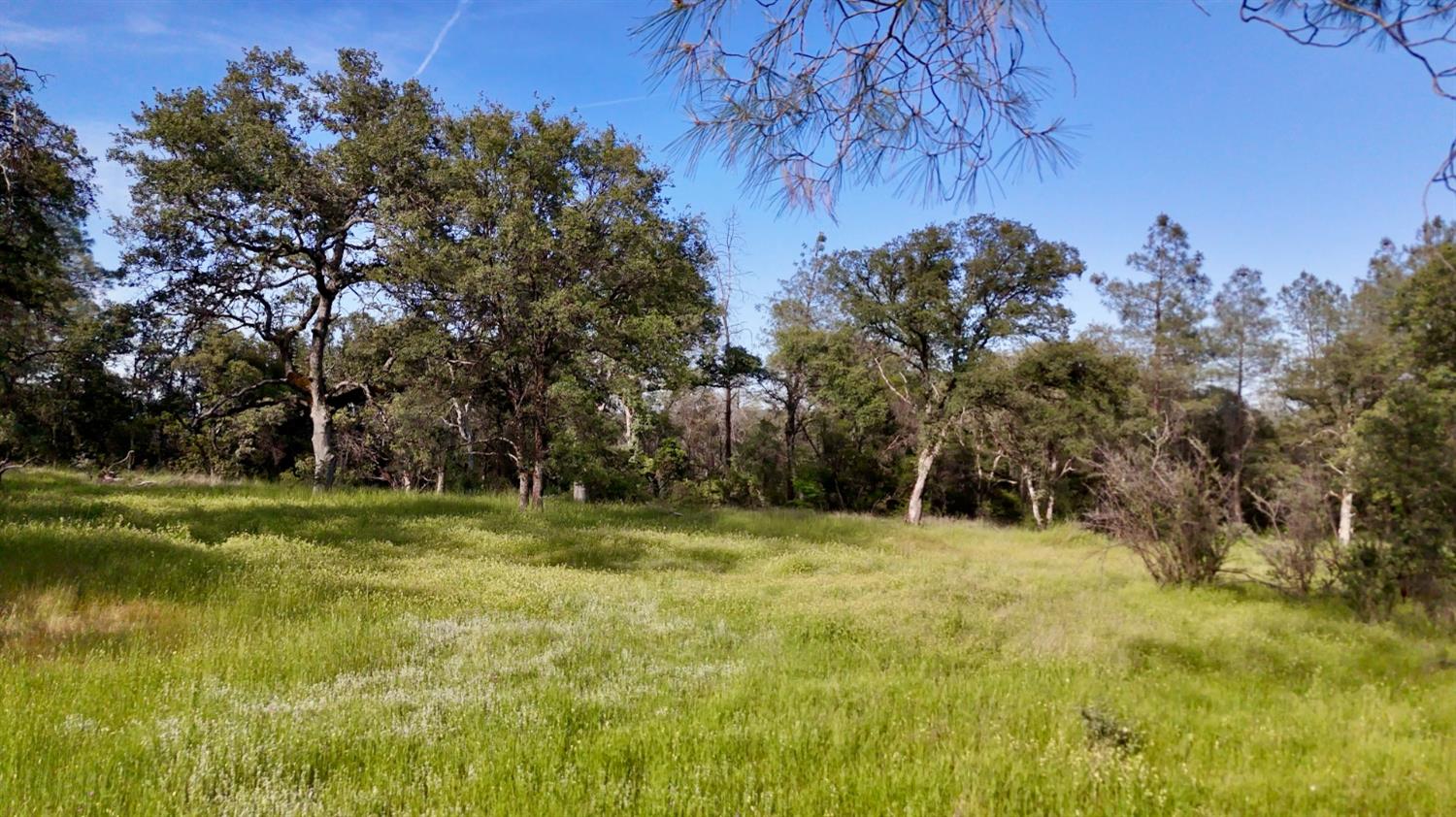 Land in North San Juan 2