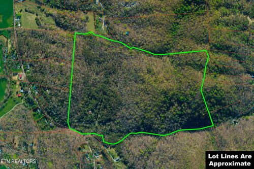 416 Satterfield Rd, Luttrell, TN, 37779-2239 | Card Image