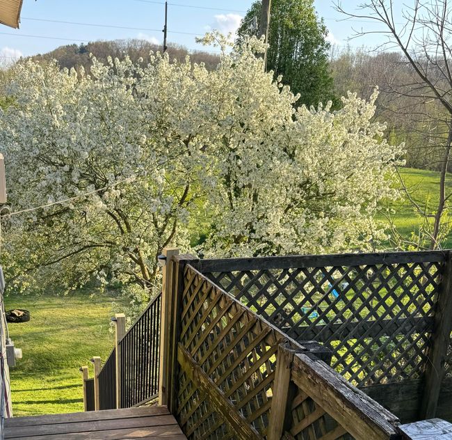 67 W Front St, House other with 4 bedrooms, 3 bathrooms and null parking in Logan OH | Image 22
