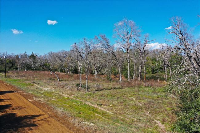 0 Sycamore Branch Rd, Home with 0 bedrooms, 0 bathrooms and null parking in Normangee TX | Image 13